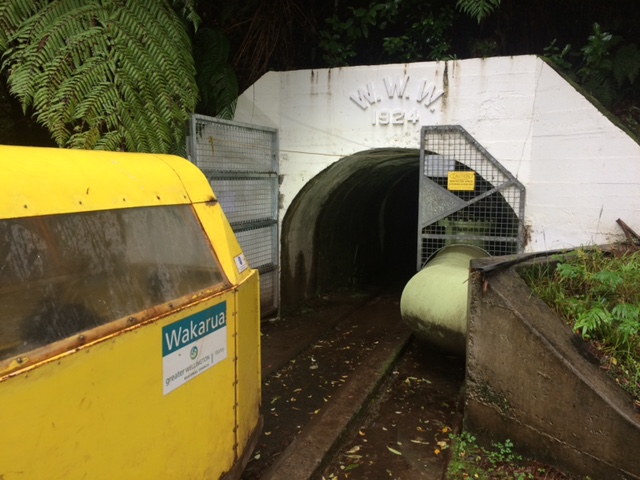 Wellington Water Limited Carriage Entering A Tunnel