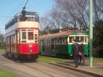 MOTAT Trams at Meola Road